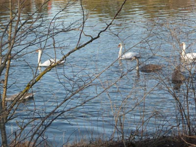 Jan-Wanderung 012